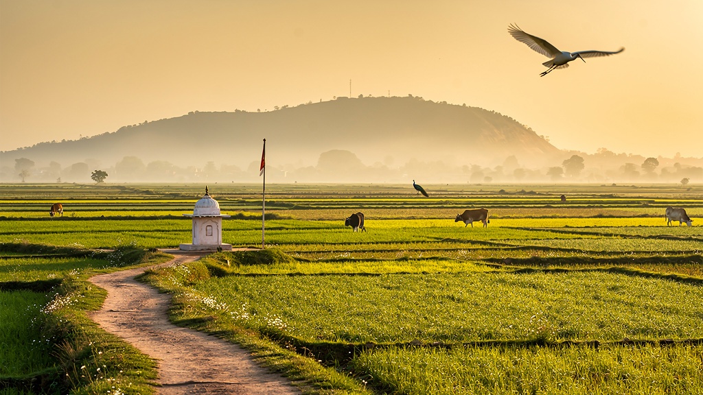 Pastoral Braj countryside near Govardhan at golden hour